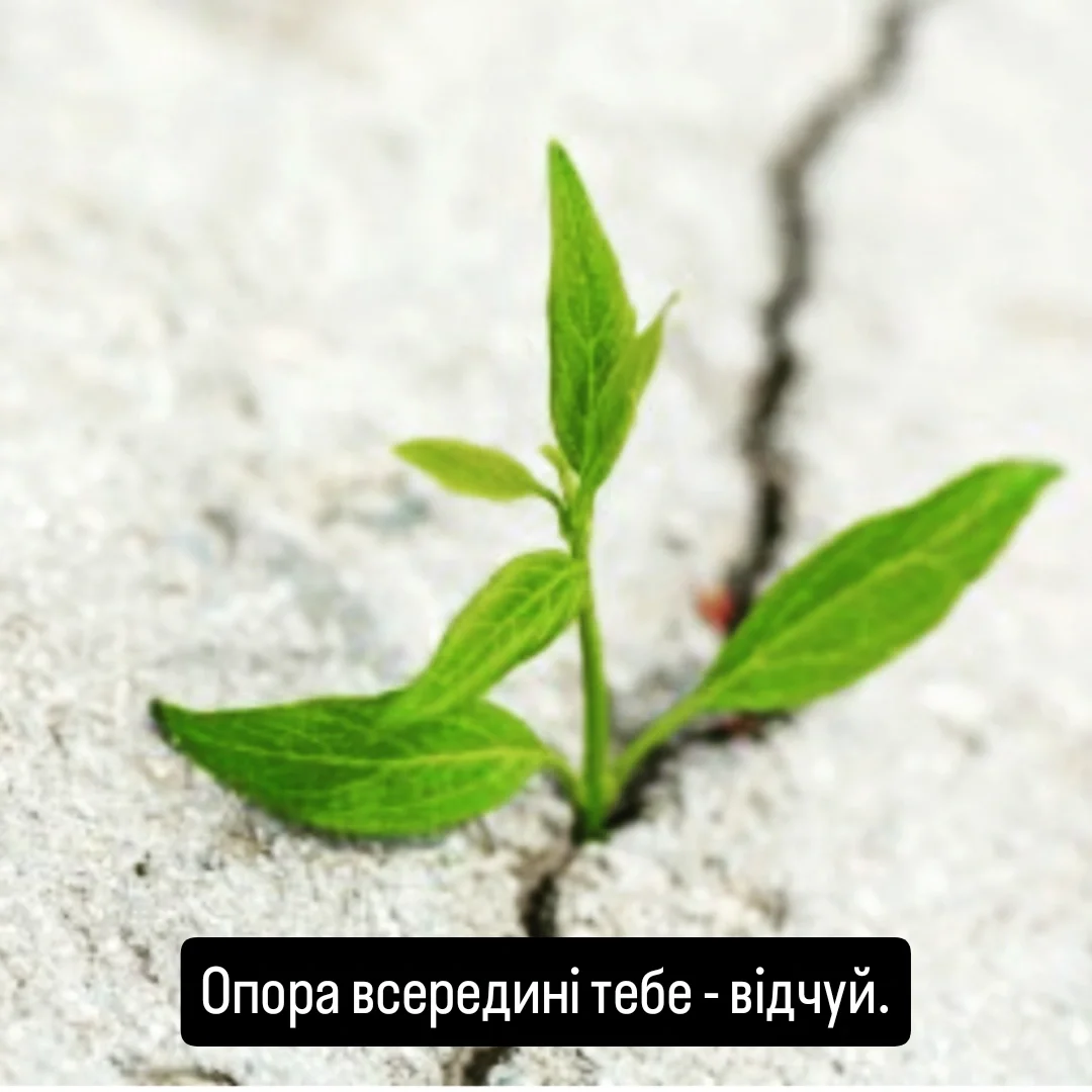 Алла Кратенко